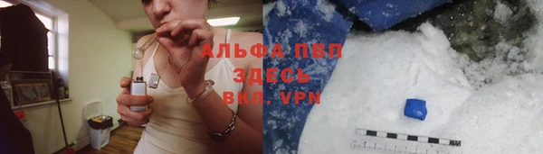 спиды Касимов