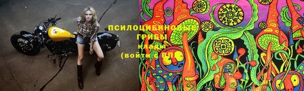 спиды Касимов
