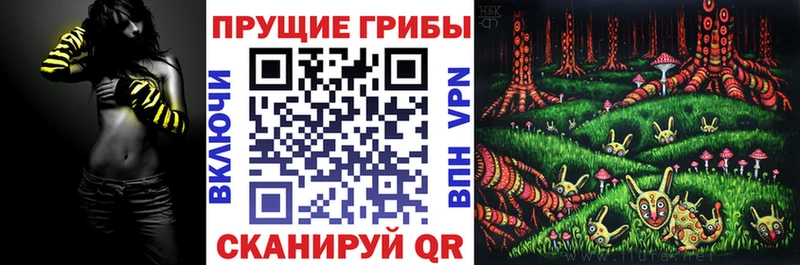 Галлюциногенные грибы мицелий  Купить закладки  Боготол 