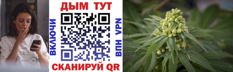 Каннабис ГИДРОПОН  Купить где  Боготол 